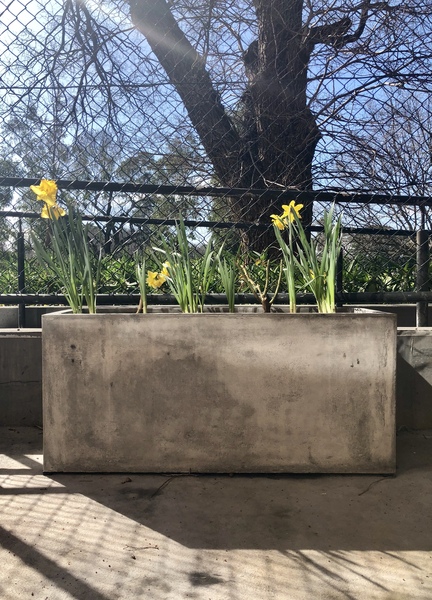 Planter Boxes Garden:The Ultimate Australian Guide for 2026