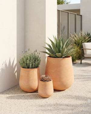 Terracotta Tall Round planters in three sizes with architectural plants in a modern outdoor setting